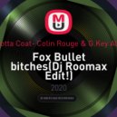 Terracotta Coat & Colin Rouge & G.Key AlexMini - Fox Bullet bitches (Dj Roomax Edit)