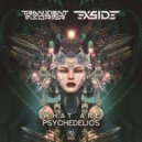 Transient Disorder & X-Side - What Are Psychedelics