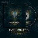 Dark Notes - Into The Darkness (Original Mix)