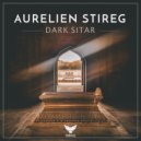 Aurelien Stireg - Mandolina