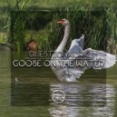 Questionwork - Goose On The Water