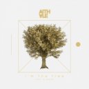 Aithale - I'm The Tree