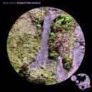 Resilience - Silent Path