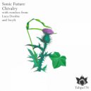Sonic Future - Chivalry
