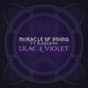 Miracle of Sound - Lilac And Violet (feat. Karliene)