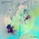 Maae - Change Is A Process (Original Mix)