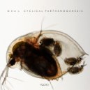 Oxal - Sexual Reproduction (Original Mix)