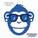 Tontrauma - Netzwerk