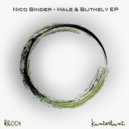 Nico Binder - Blithely (Original Mix)