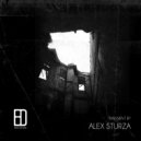 Alex Sturza - Transiënt