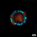 Okersounds - Somnium