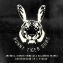 Andruss, Giorgio Brindesi, Alejandro Franco - Underground (Climbers Remix)