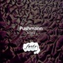 Pushmann - Detected Complex (Original Mix)