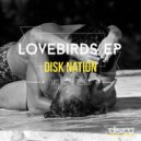 Disk Nation - Shine