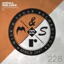 Sebb Junior & Hatiras - Understanding
