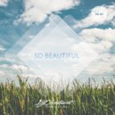 DJ Aristocrat - So Beautiful (Instrumental Mix)