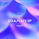 Polar (NL) - Soulplate