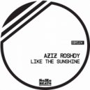 Aziz Roshdy - Flow