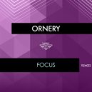 Ornery - Space and Time