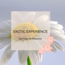 Yogsutra Relaxation Co - The Melody Of Love (Original Mix)