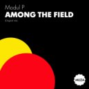 Modul p - Among the field