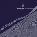 Petar Dundov - Synesthetic Flow