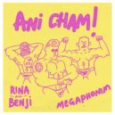 Rina & Benji & Megaphonim & Omri Smadar - Ani Cham (Omri Smadar Remix)