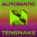 Tensnake Ft. Fiora - Automatic