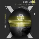 Cem Arik - Ostensible Me