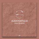 Audionatique - Begin (Original Mix)