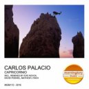 Carlos Palacio - Capricornio (Eve Novoa Malcavian Remix)