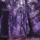 Melodeep - Mysterious Desire (Original Mix)