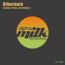 Hibernate - Sneaky