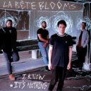 La Béte Blooms - Hole In My Head