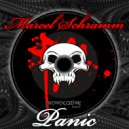 Marcel Schramm - Reduction