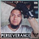 Hybreed eM-16 - Perseverance