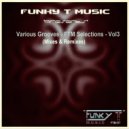 DJ Funky T - Good Old Days (Marlon D\'s New York House Mix)
