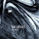 Dub Capsule - Low To High