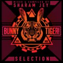 Liva K, Jayworx & Arish - Bling (Original Mix)