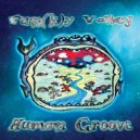 Human Groove - Fun(k)y Valley (Original Mix)