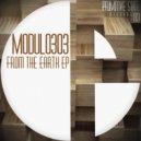 Modulo303 - From The Earth
