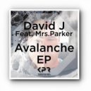 David J & Mrs.Parker - Avalanche