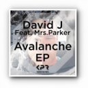 David J & Mrs.Parker - Avalanche (Tribal Dub)