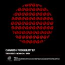 Canard - Baby (Original Mix)
