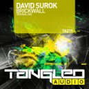 David Surok - Brickwall