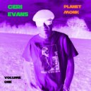Ceri Evans - Bye Ya (Original Mix)