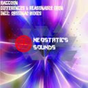 Raccoon - Reasonable Iron (Original Mix)
