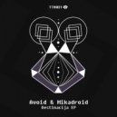 Avoid, Mikadroid - Destinacija 2 (Original Mix)