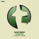 David Surok - Plankton
