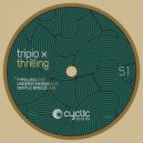 Tripio X - Understanding